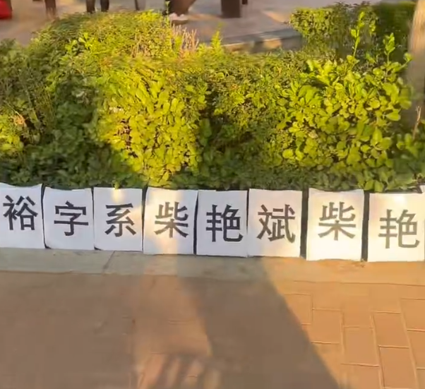 原文相关图片5