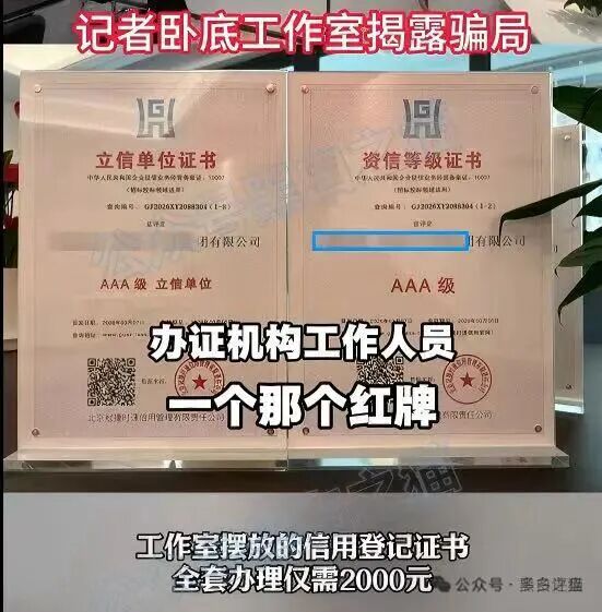 原文相关图片2